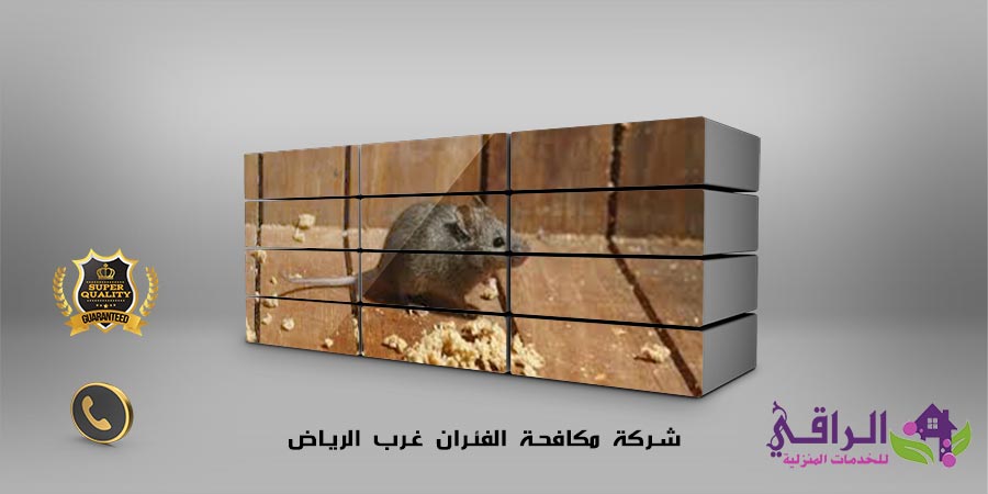شركة مكافحة الفئران غرب الرياض